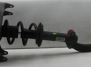 Suspension Strut AUDI A5 (8T3)