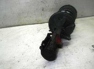 Suspension Strut HYUNDAI GETZ (TB)