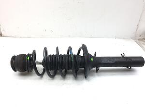 Suspension Strut VW Golf IV (1J1)