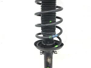 Suspension Strut AUDI A3 (8L1)