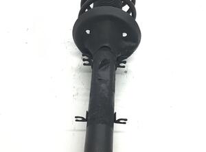 Suspension Strut VW Golf IV (1J1)