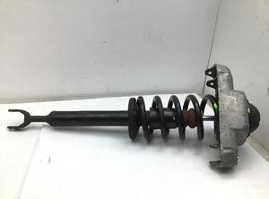 Suspension Strut AUDI A6 (4F2, C6)