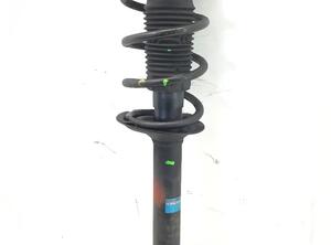 Suspension Strut FIAT DUCATO Bus (250_, 290_)