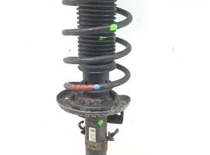 Suspension Strut SKODA ROOMSTER (5J7), SKODA ROOMSTER Praktik (5J)