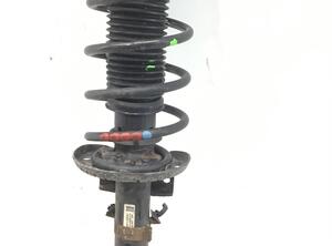 Suspension Strut SKODA ROOMSTER (5J7), SKODA ROOMSTER Praktik (5J)