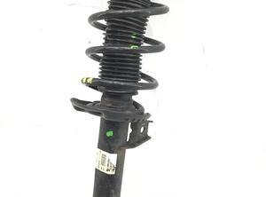 Suspension Strut AUDI A3 (8P1), AUDI A3 Sportback (8PA)