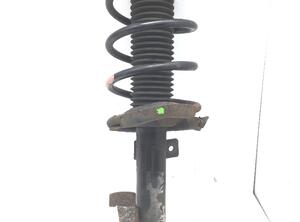 Suspension Strut FORD FOCUS C-MAX (DM2), FORD C-MAX (DM2), FORD KUGA I, FORD KUGA II (DM2)