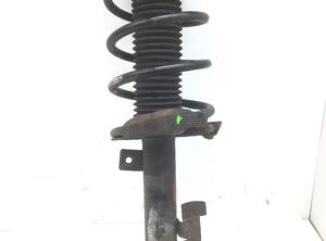 Suspension Strut FORD FOCUS C-MAX (DM2), FORD C-MAX (DM2), FORD KUGA I, FORD KUGA II (DM2)