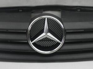 Radiator Grille MERCEDES-BENZ VANEO (414)