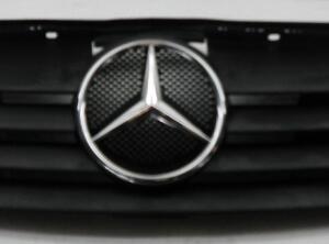 Radiator Grille MERCEDES-BENZ VANEO (414)