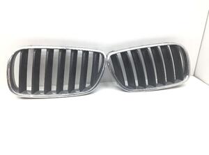 Radiator Grille BMW X3 (E83)