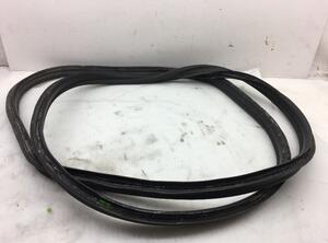 Door Seal MERCEDES-BENZ M-Klasse (W164)