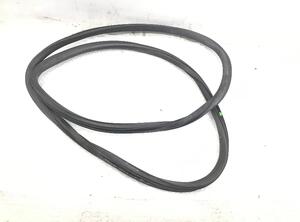 Door Seal SEAT Altea (5P1), SEAT Altea XL (5P5, 5P8), SEAT Toledo III (5P2)