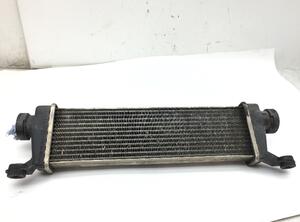 Intercooler MERCEDES-BENZ A-Klasse (W168)