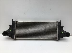 Intercooler MERCEDES-BENZ M-Klasse (W164)