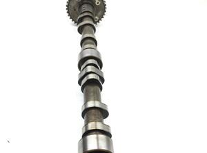 Camshaft AUDI A3 (8P1)