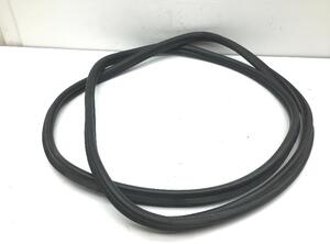 Boot / Trunk Lid Seal BMW 1 (F20)