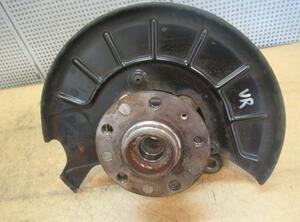 Stub Axle VW GOLF V (1K1)