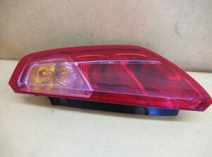 Combination Rearlight FIAT Grande Punto (199), FIAT Punto Evo (199)