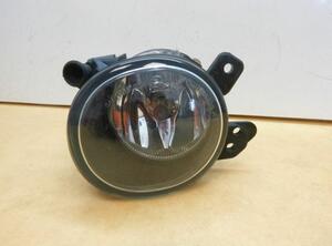 Fog Light MERCEDES-BENZ A-Klasse (W169)