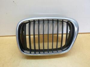 Radiator Grille BMW 5er (E39)