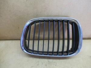 Radiator Grille BMW 5er (E39)