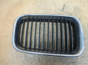 Radiator Grille BMW 3er (E36)