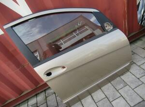 Door MERCEDES-BENZ A-CLASS (W169)