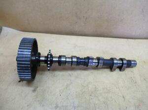 Camshaft AUDI A6 (4B2, C5)