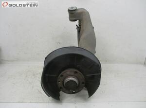 Stub Axle AUDI A4 Avant (8ED, B7)