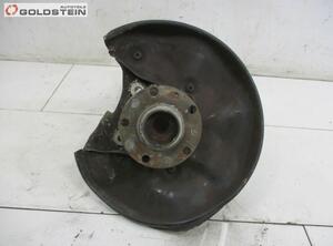 Stub Axle AUDI A6 Avant (4F5, C6)