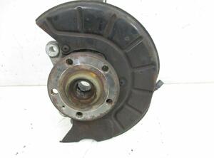 Stub Axle VW Passat (3C2)