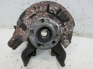 Stub Axle SKODA FABIA II (542)