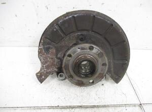 Stub Axle VW PASSAT (3C2)