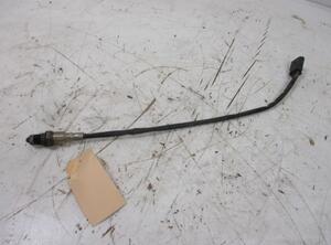 Lambda Sensor AUDI A4 Avant (8W5, 8WD)