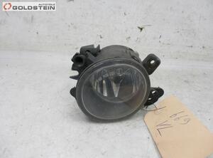 Fog Light MERCEDES-BENZ A-Klasse (W169)