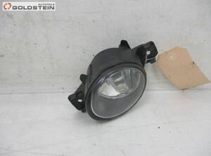 Fog Light RENAULT Clio III (BR0/1, CR0/1)