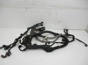 Engine Wiring Harness HONDA FR-V (BE)