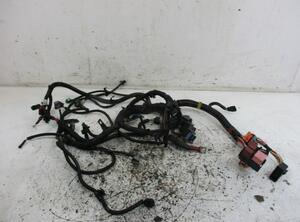 Engine Wiring Harness DACIA Sandero (--), DACIA Sandero II (--)