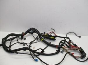 Engine Wiring Harness DACIA Sandero (--)