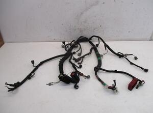 Engine Wiring Harness TOYOTA Aygo (KGB1, WNB1)