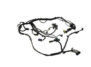 Engine Wiring Harness PEUGEOT 1007 (KM)