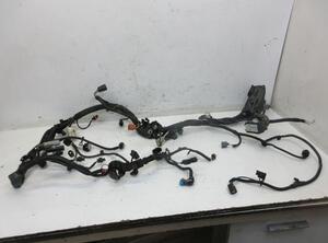 Kabel Motor Motorkabelbaum C10FD0X FORD FIESTA VI 1.0 FACELIFT 48 KW