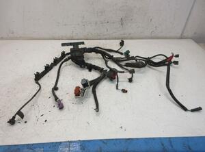 Kabel Motor Motorkabelbaum SPJE C14HDEZ FORD FIESTA VI 1.4 71 KW