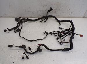 Engine Wiring Harness FORD B-MAX (JK)