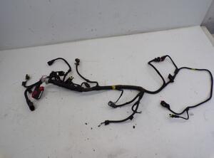 Engine Wiring Harness FORD KA (RU8)