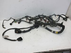 Kabel Motor Motorkabelbaum 250A1000 FIAT DUCATO KASTEN (250) 115 MULTIJET 2.0 D 85 KW