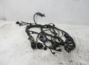 Wiring Harness FORD Kuga I (--), FORD Kuga II (DM2)