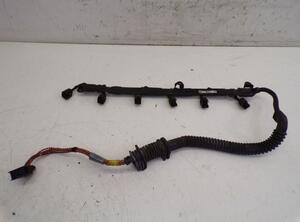 Wiring Harness BMW X5 (E70), BMW X6 (E71, E72)