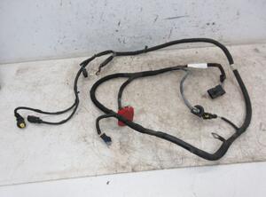 Wiring Harness PEUGEOT 208 I (CA_, CC_)